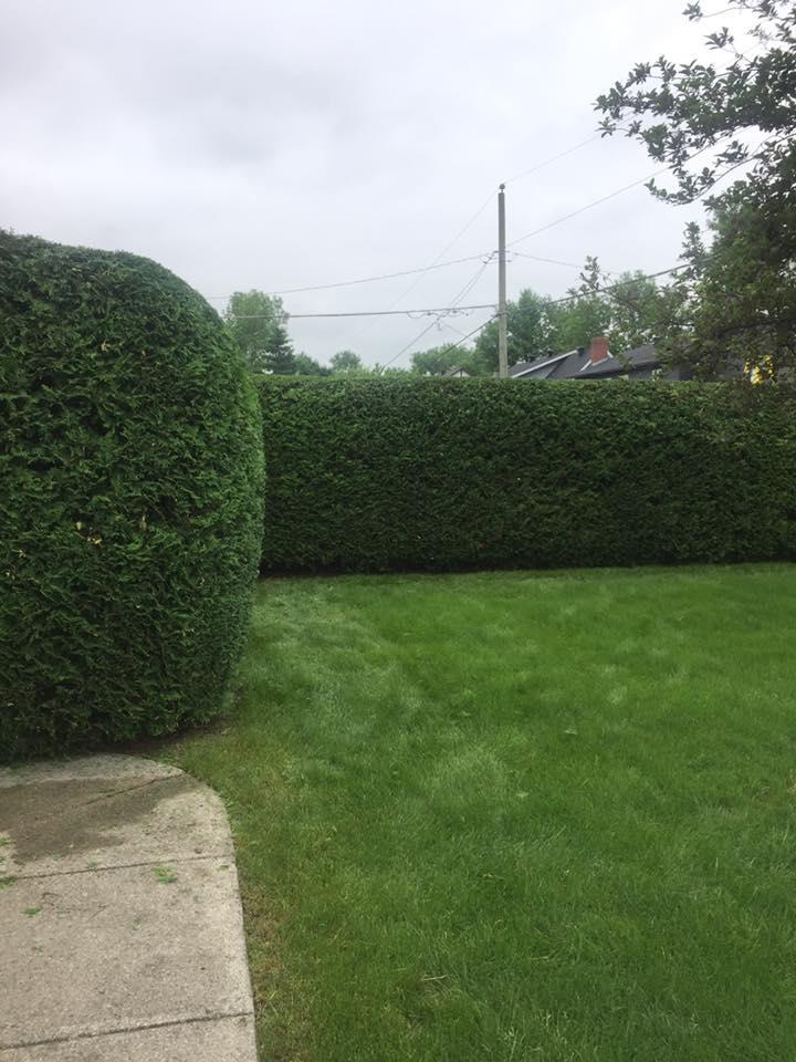 Aménagement paysager Châteauguay