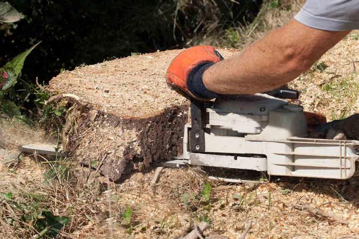 Une entreprise fiable et bien équipée pou réaliser vos travaux d’essouchage.
